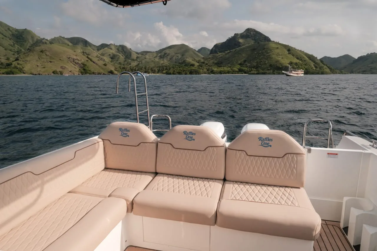 Raffles One, Speedboat Boat (photo 4)