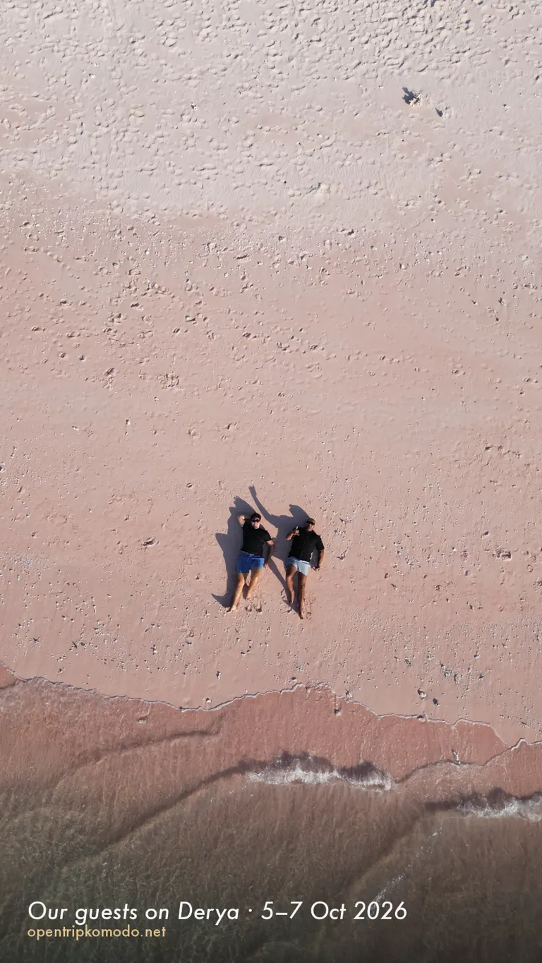 Foto drone dua tamu trip Derya di tepi Pink Beach