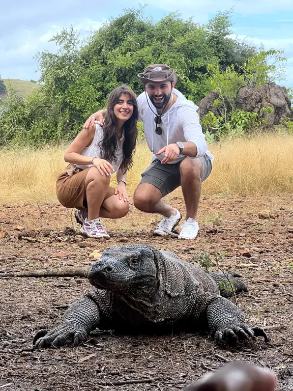 Dua tamu berjongkok di belakang komodo di padang savana