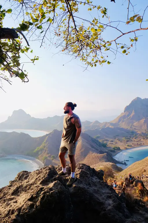 Seorang tamu berdiri di batu puncak Padar di bawah dahan pohon