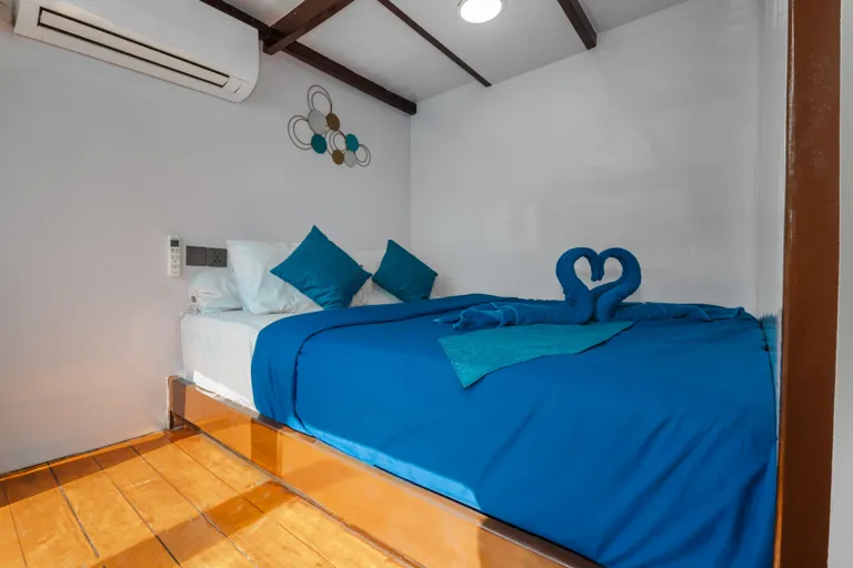 Deluxe Cabin di kapal Invictus